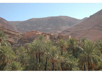 MAROC: Oasis de montagne