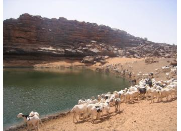 MALI: Lac